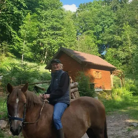 Sejour Insolite En Yourte Avec Sauna, Balneo, Massages Et Terrasse Au Coeur De La Nature A - Fr-1-589-438 * Ferdrupt