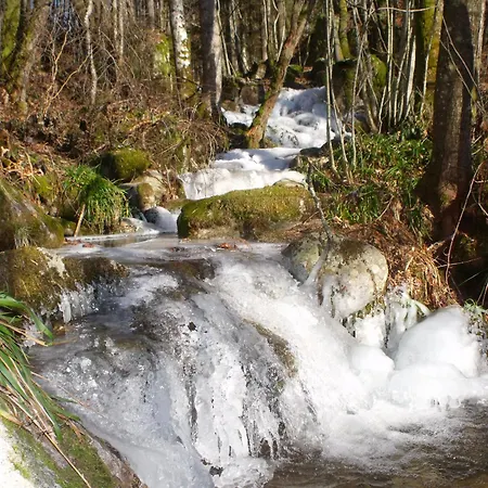 Sejour Insolite En Yourte Avec Sauna, Balneo, Massages Et Terrasse Au Coeur De La Nature A - Fr-1-589-438 Ferdrupt